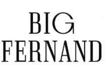 Logo de Big Groupe